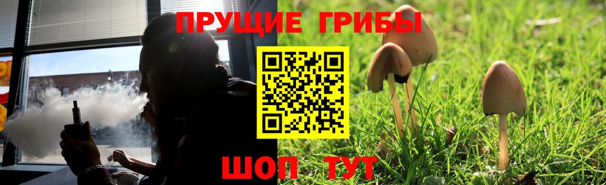 Псилоцибиновые грибы Cubensis Истра
