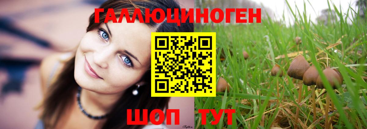 Истра  хочу наркоту  Галлюциногенные грибы ЛСД  Вход с VPN  Галлюциногенные грибы Magic Shrooms 